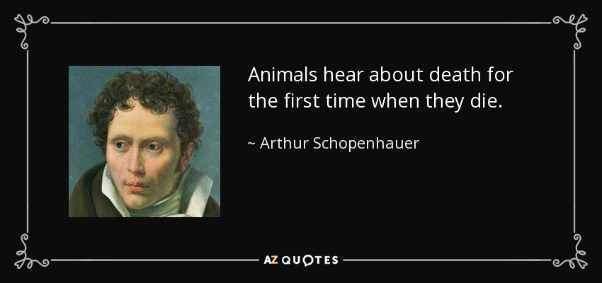Animals hear about death for the first time when they die. - Arthur Schopenhauer
