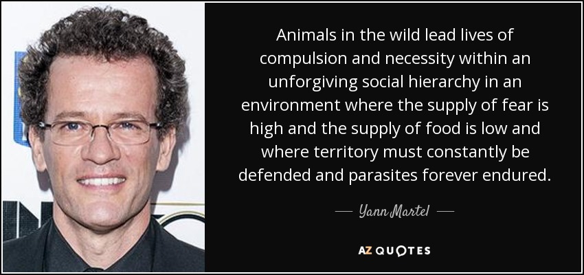 Animals in the wild lead lives of compulsion and necessity within an unforgiving social hierarchy in an environment where the supply of fear is high and the supply of food is low and where territory must constantly be defended and parasites forever endured. - Yann Martel