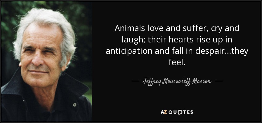 Animals love and suffer, cry and laugh; their hearts rise up in anticipation and fall in despair...they feel. - Jeffrey Moussaieff Masson