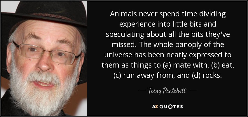 Animals never spend time dividing experience into little bits and speculating about all the bits they've missed. The whole panoply of the universe has been neatly expressed to them as things to (a) mate with, (b) eat, (c) run away from, and (d) rocks. - Terry Pratchett
