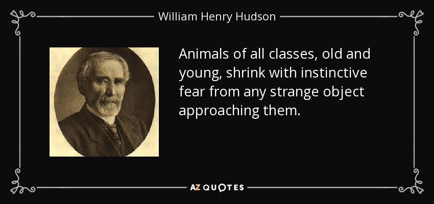 Animals of all classes, old and young, shrink with instinctive fear from any strange object approaching them. - William Henry Hudson