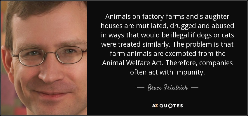 Bruce Friedrich quote: Animals on factory farms and slaughter houses are  mutilated, drugged...