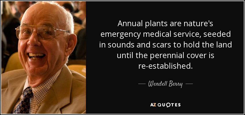 Annual plants are nature's emergency medical service, seeded in sounds and scars to hold the land until the perennial cover is re-established. - Wendell Berry