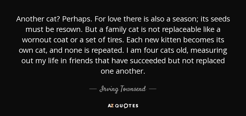 Another cat? Perhaps. For love there is also a season; its seeds must be resown. But a family cat is not replaceable like a wornout coat or a set of tires. Each new kitten becomes its own cat, and none is repeated. I am four cats old, measuring out my life in friends that have succeeded but not replaced one another. - Irving Townsend
