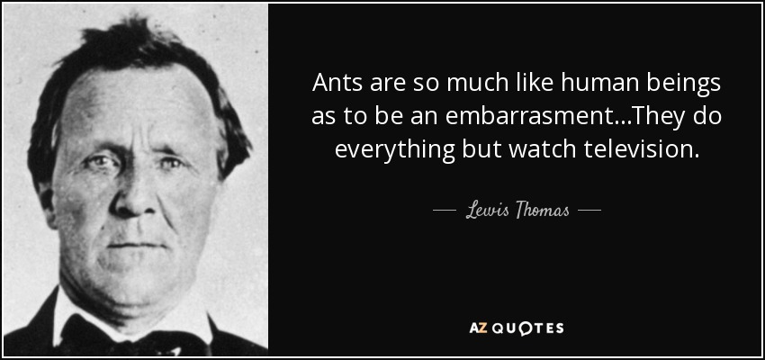 Ants are so much like human beings as to be an embarrasment...They do everything but watch television. - Lewis Thomas