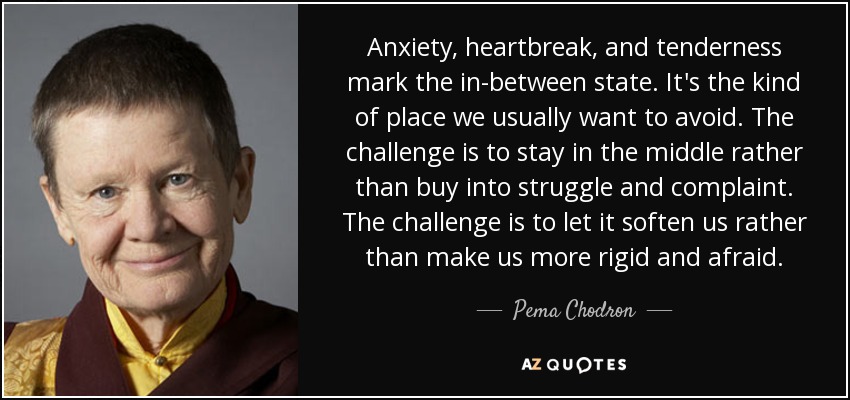 Anxiety, heartbreak, and tenderness mark the in-between state. It's the kind of place we usually want to avoid. The challenge is to stay in the middle rather than buy into struggle and complaint. The challenge is to let it soften us rather than make us more rigid and afraid. - Pema Chodron