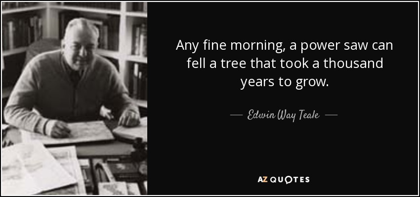 Any fine morning, a power saw can fell a tree that took a thousand years to grow. - Edwin Way Teale
