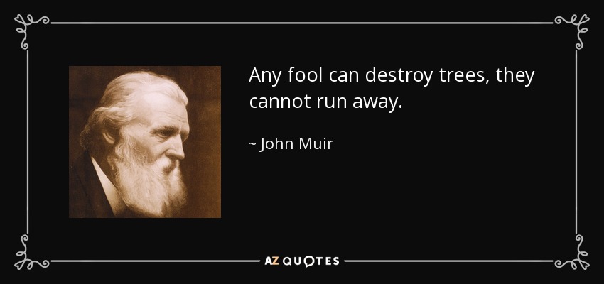 Any fool can destroy trees, they cannot run away. - John Muir