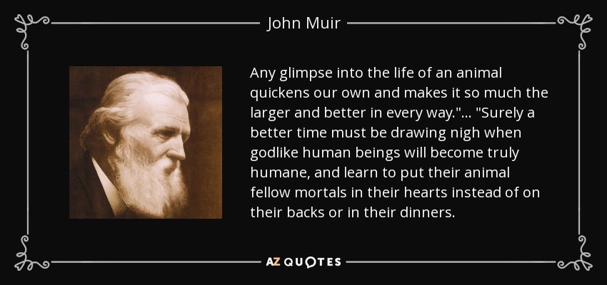 Any glimpse into the life of an animal quickens our own and makes it so much the larger and better in every way.