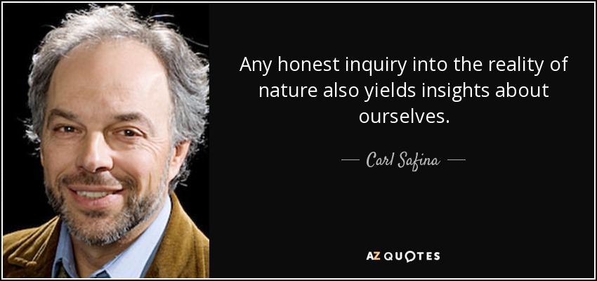 Any honest inquiry into the reality of nature also yields insights about ourselves. - Carl Safina