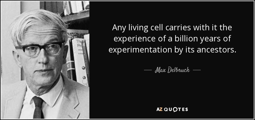 Any living cell carries with it the experience of a billion years of experimentation by its ancestors. - Max Delbruck