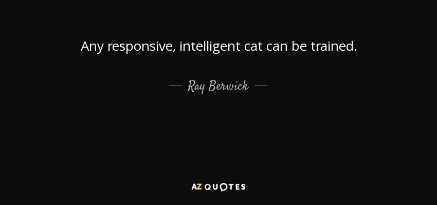 Any responsive, intelligent cat can be trained. - Ray Berwick