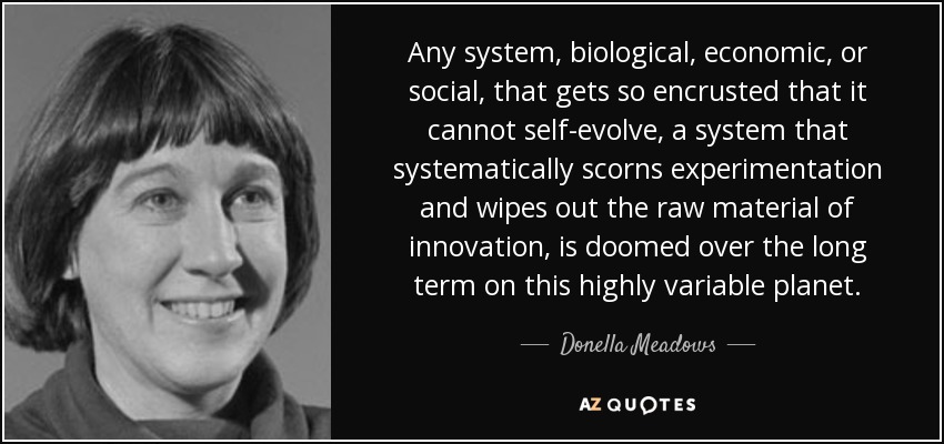 Any system, biological, economic, or social, that gets so encrusted that it cannot self-evolve, a system that systematically scorns experimentation and wipes out the raw material of innovation, is doomed over the long term on this highly variable planet. - Donella Meadows
