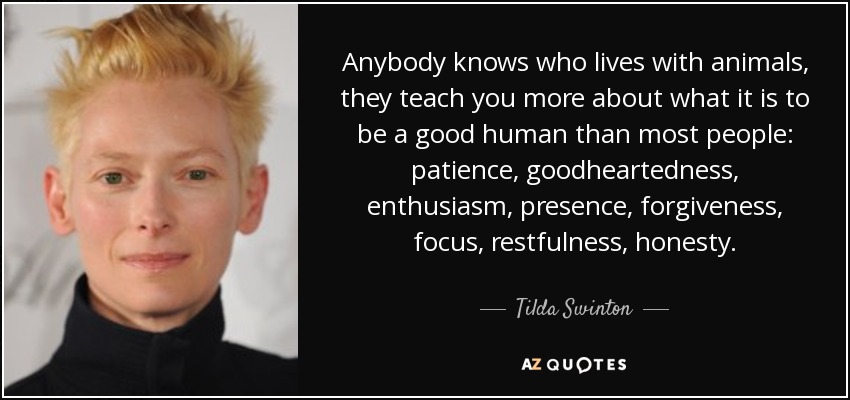 Anybody knows who lives with animals, they teach you more about what it is to be a good human than most people: patience, goodheartedness, enthusiasm, presence, forgiveness, focus, restfulness, honesty. - Tilda Swinton