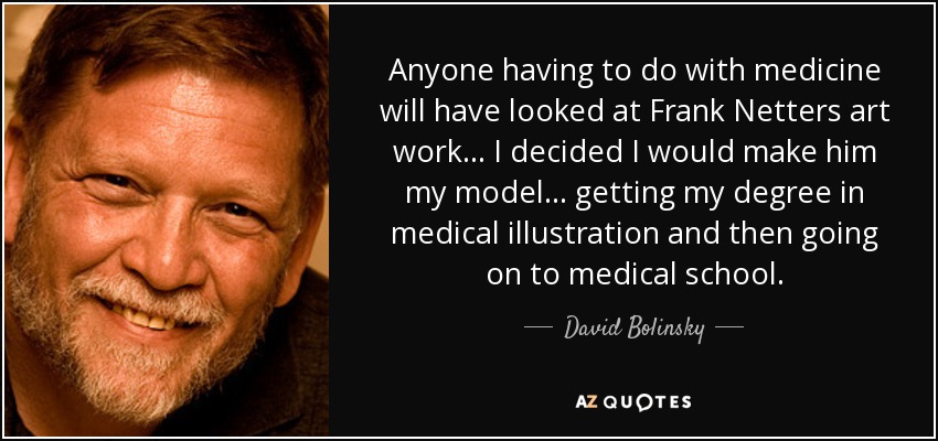 Anyone having to do with medicine will have looked at Frank Netters art work... I decided I would make him my model... getting my degree in medical illustration and then going on to medical school. - David Bolinsky