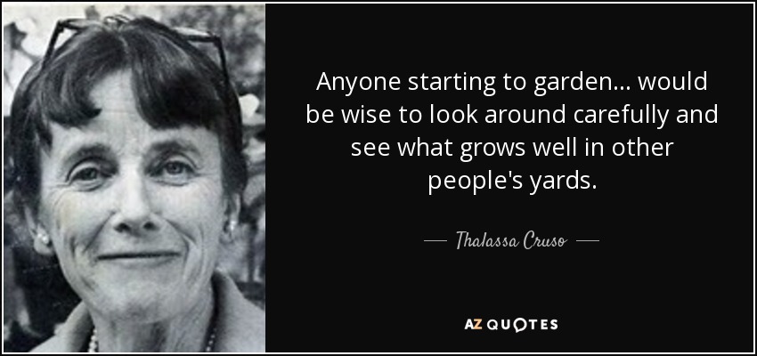 Anyone starting to garden... would be wise to look around carefully and see what grows well in other people's yards. - Thalassa Cruso