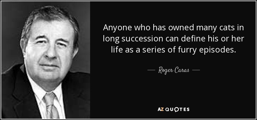 Anyone who has owned many cats in long succession can define his or her life as a series of furry episodes. - Roger Caras