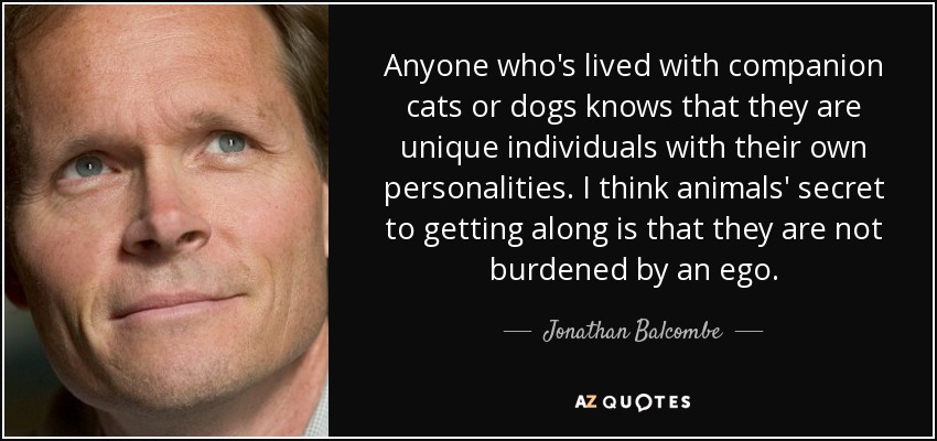 Anyone who's lived with companion cats or dogs knows that they are unique individuals with their own personalities. I think animals' secret to getting along is that they are not burdened by an ego. - Jonathan Balcombe