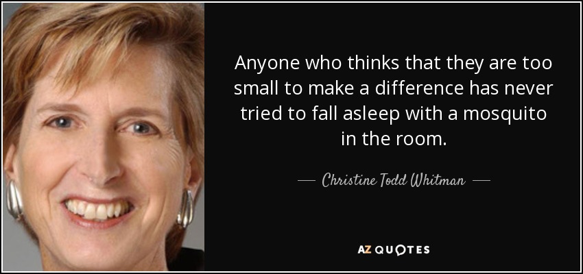 Anyone who thinks that they are too small to make a difference has never tried to fall asleep with a mosquito in the room. - Christine Todd Whitman