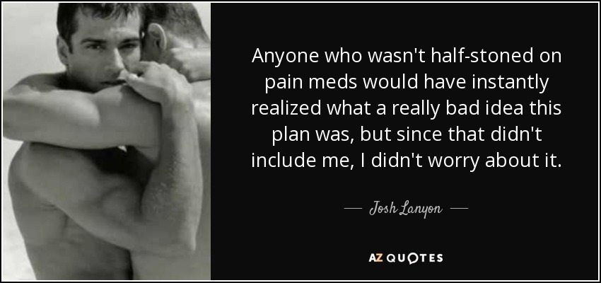 Anyone who wasn't half-stoned on pain meds would have instantly realized what a really bad idea this plan was, but since that didn't include me, I didn't worry about it. - Josh Lanyon