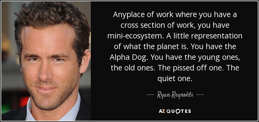 Anyplace of work where you have a cross section of work, you have mini-ecosystem. A little representation of what the planet is. You have the Alpha Dog. You have the young ones, the old ones. The pissed off one. The quiet one. - Ryan Reynolds