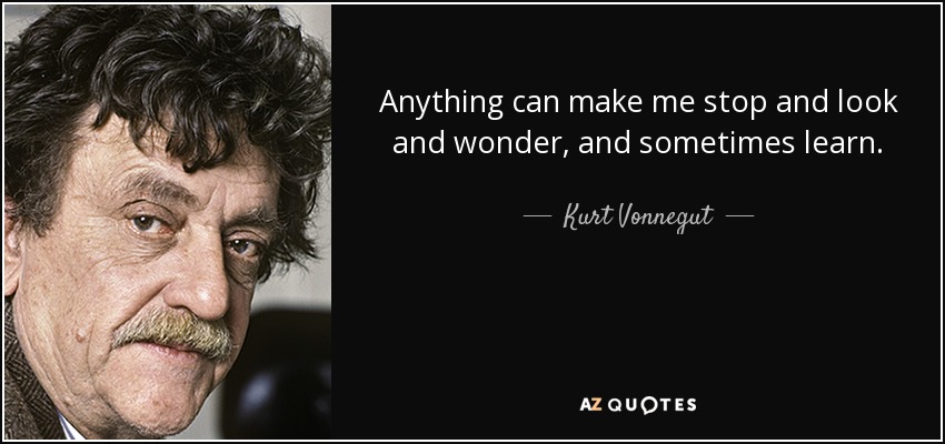 Anything can make me stop and look and wonder, and sometimes learn. - Kurt Vonnegut