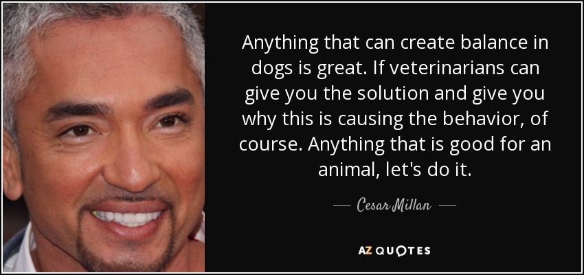 Anything that can create balance in dogs is great. If veterinarians can give you the solution and give you why this is causing the behavior, of course. Anything that is good for an animal, let's do it. - Cesar Millan