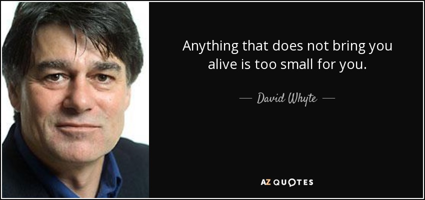 Anything that does not bring you alive is too small for you. - David Whyte