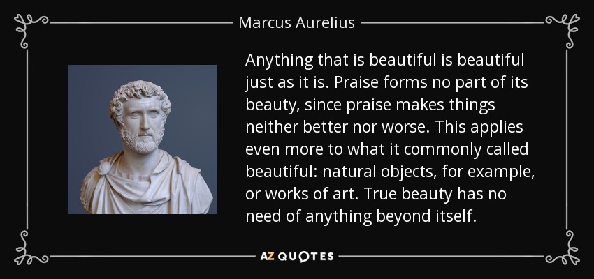 Anything that is beautiful is beautiful just as it is. Praise forms no part of its beauty, since praise makes things neither better nor worse. This applies even more to what it commonly called beautiful: natural objects, for example, or works of art. True beauty has no need of anything beyond itself. - Marcus Aurelius