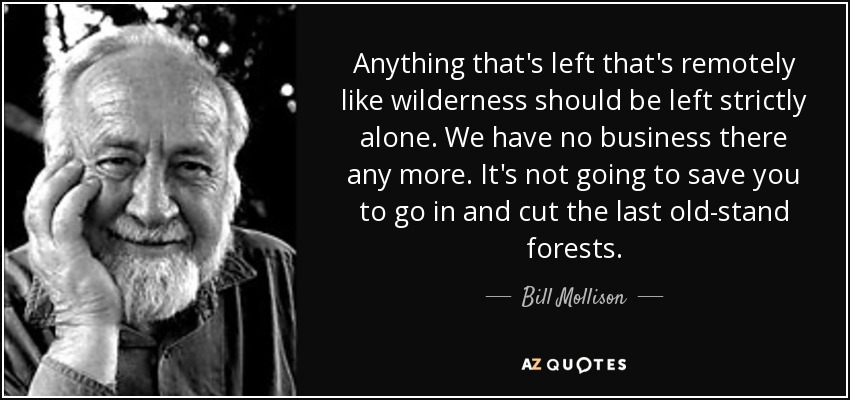 Anything that's left that's remotely like wilderness should be left strictly alone. We have no business there any more. It's not going to save you to go in and cut the last old-stand forests. - Bill Mollison