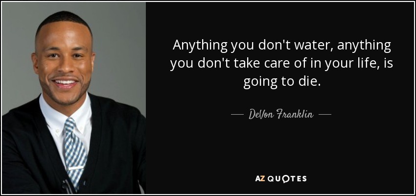 Anything you don't water, anything you don't take care of in your life, is going to die. - DeVon Franklin