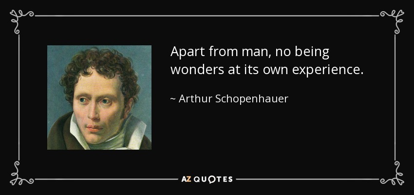 Apart from man, no being wonders at its own experience. - Arthur Schopenhauer