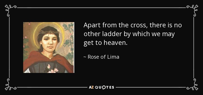 Apart from the cross, there is no other ladder by which we may get to heaven. - Rose of Lima