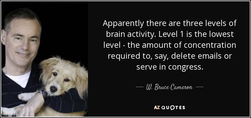 Apparently there are three levels of brain activity. Level 1 is the lowest level - the amount of concentration required to, say, delete emails or serve in congress. - W. Bruce Cameron