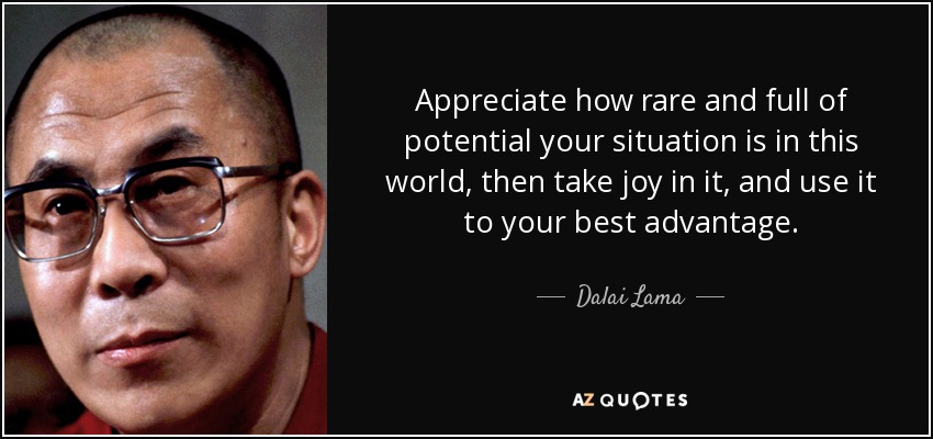 Appreciate how rare and full of potential your situation is in this world, then take joy in it, and use it to your best advantage. - Dalai Lama