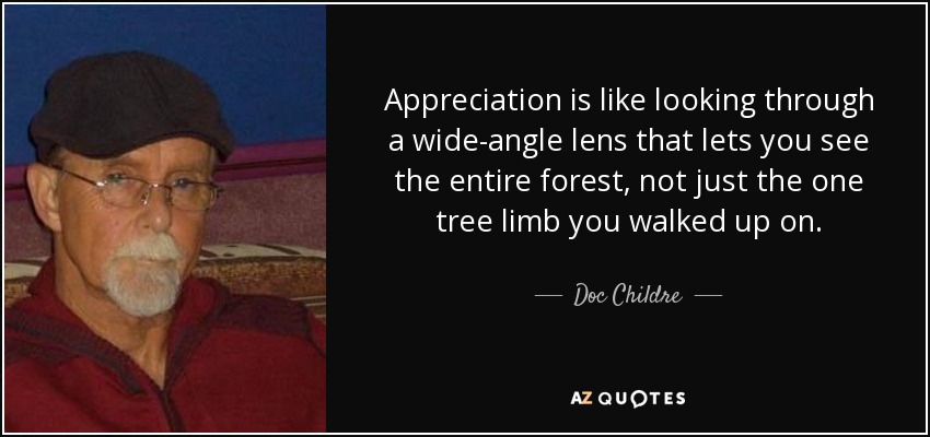 Appreciation is like looking through a wide-angle lens that lets you see the entire forest, not just the one tree limb you walked up on. - Doc Childre