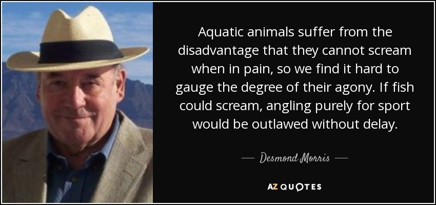 Aquatic animals suffer from the disadvantage that they cannot scream when in pain, so we find it hard to gauge the degree of their agony. If fish could scream, angling purely for sport would be outlawed without delay. - Desmond Morris
