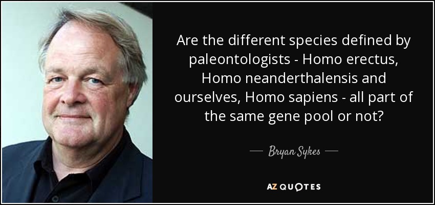 Are the different species defined by paleontologists - Homo erectus, Homo neanderthalensis and ourselves, Homo sapiens - all part of the same gene pool or not? - Bryan Sykes