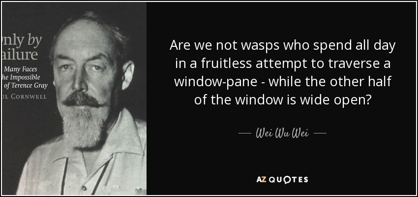 Are we not wasps who spend all day in a fruitless attempt to traverse a window-pane - while the other half of the window is wide open? - Wei Wu Wei