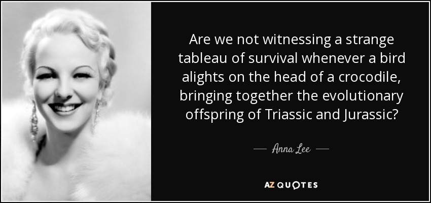 Are we not witnessing a strange tableau of survival whenever a bird alights on the head of a crocodile, bringing together the evolutionary offspring of Triassic and Jurassic? - Anna Lee