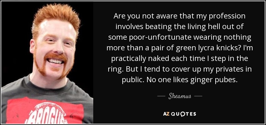 Are you not aware that my profession involves beating the living hell out of some poor-unfortunate wearing nothing more than a pair of green lycra knicks? I'm practically naked each time I step in the ring. But I tend to cover up my privates in public. No one likes ginger pubes. - Sheamus