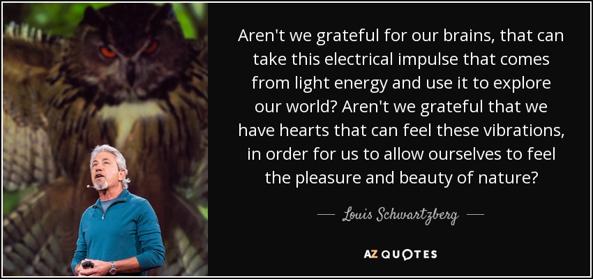 Aren't we grateful for our brains, that can take this electrical impulse that comes from light energy and use it to explore our world? Aren't we grateful that we have hearts that can feel these vibrations, in order for us to allow ourselves to feel the pleasure and beauty of nature? - Louis Schwartzberg