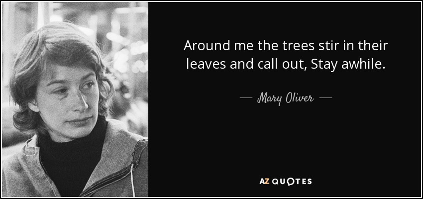 Around me the trees stir in their leaves and call out, Stay awhile. - Mary Oliver