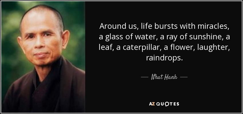 Around us, life bursts with miracles, a glass of water, a ray of sunshine, a leaf, a caterpillar, a flower, laughter, raindrops. - Nhat Hanh