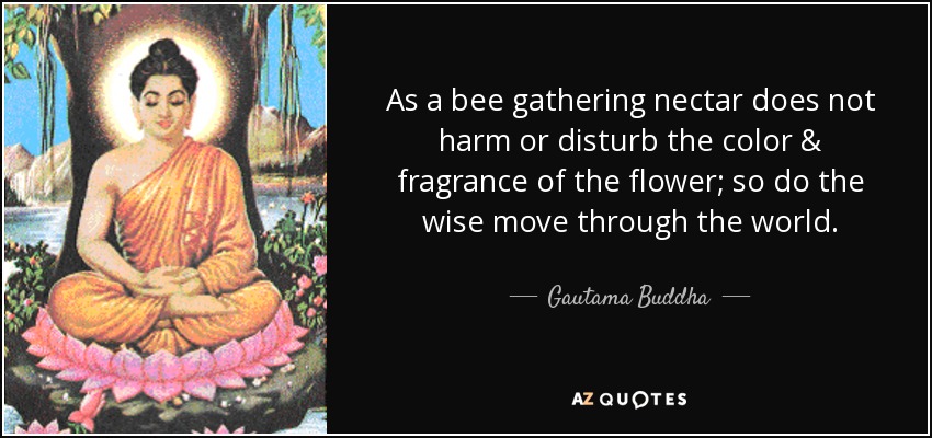 As a bee gathering nectar does not harm or disturb the color & fragrance of the flower; so do the wise move through the world. - Gautama Buddha