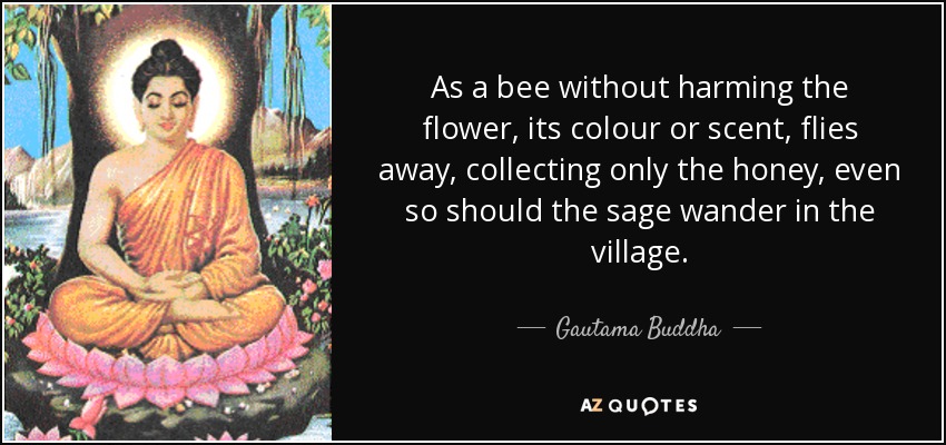 As a bee without harming the flower, its colour or scent, flies away, collecting only the honey, even so should the sage wander in the village. - Gautama Buddha