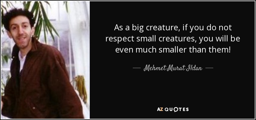 As a big creature, if you do not respect small creatures, you will be even much smaller than them! - Mehmet Murat Ildan
