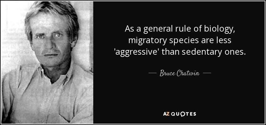 As a general rule of biology, migratory species are less 'aggressive' than sedentary ones. - Bruce Chatwin