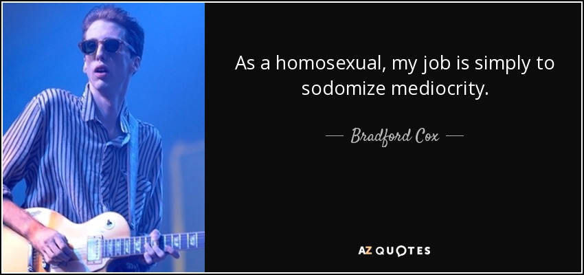 As a homosexual, my job is simply to sodomize mediocrity. - Bradford Cox