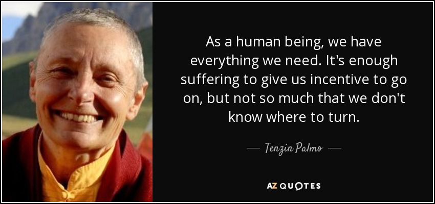As a human being, we have everything we need. It's enough suffering to give us incentive to go on, but not so much that we don't know where to turn. - Tenzin Palmo